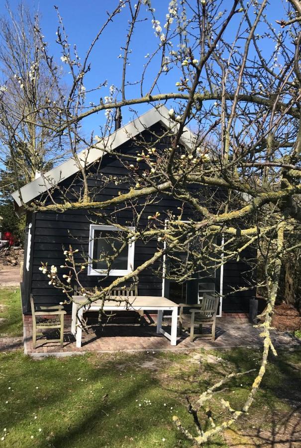 Ijsselmeer Lake Houses 安迪克 外观 照片
