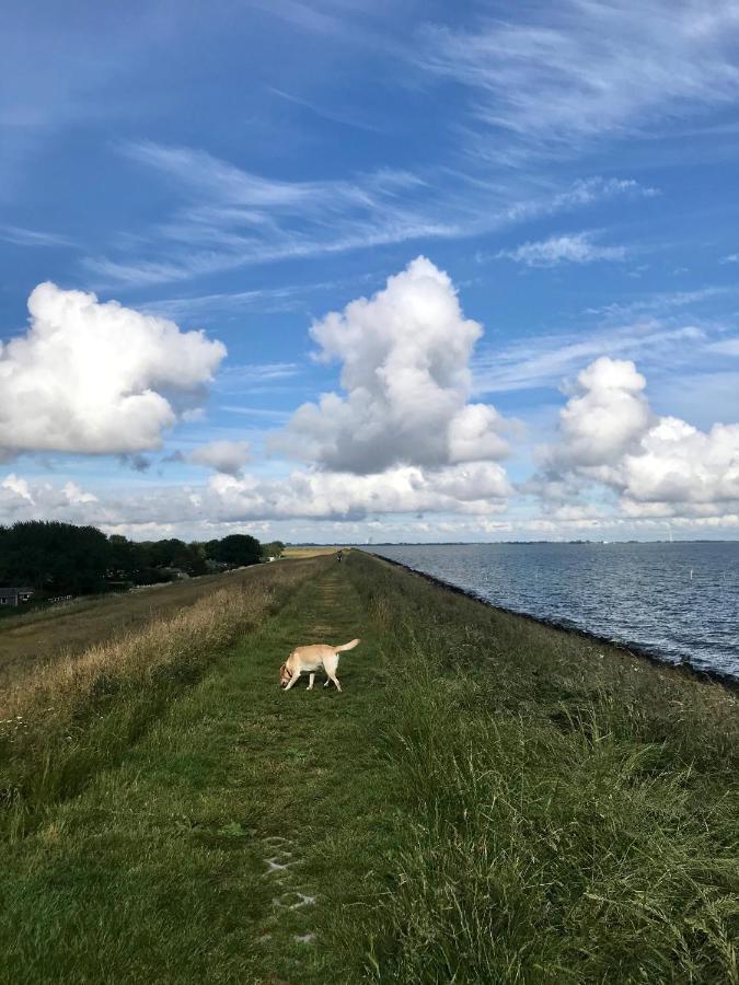 Ijsselmeer Lake Houses 安迪克 外观 照片